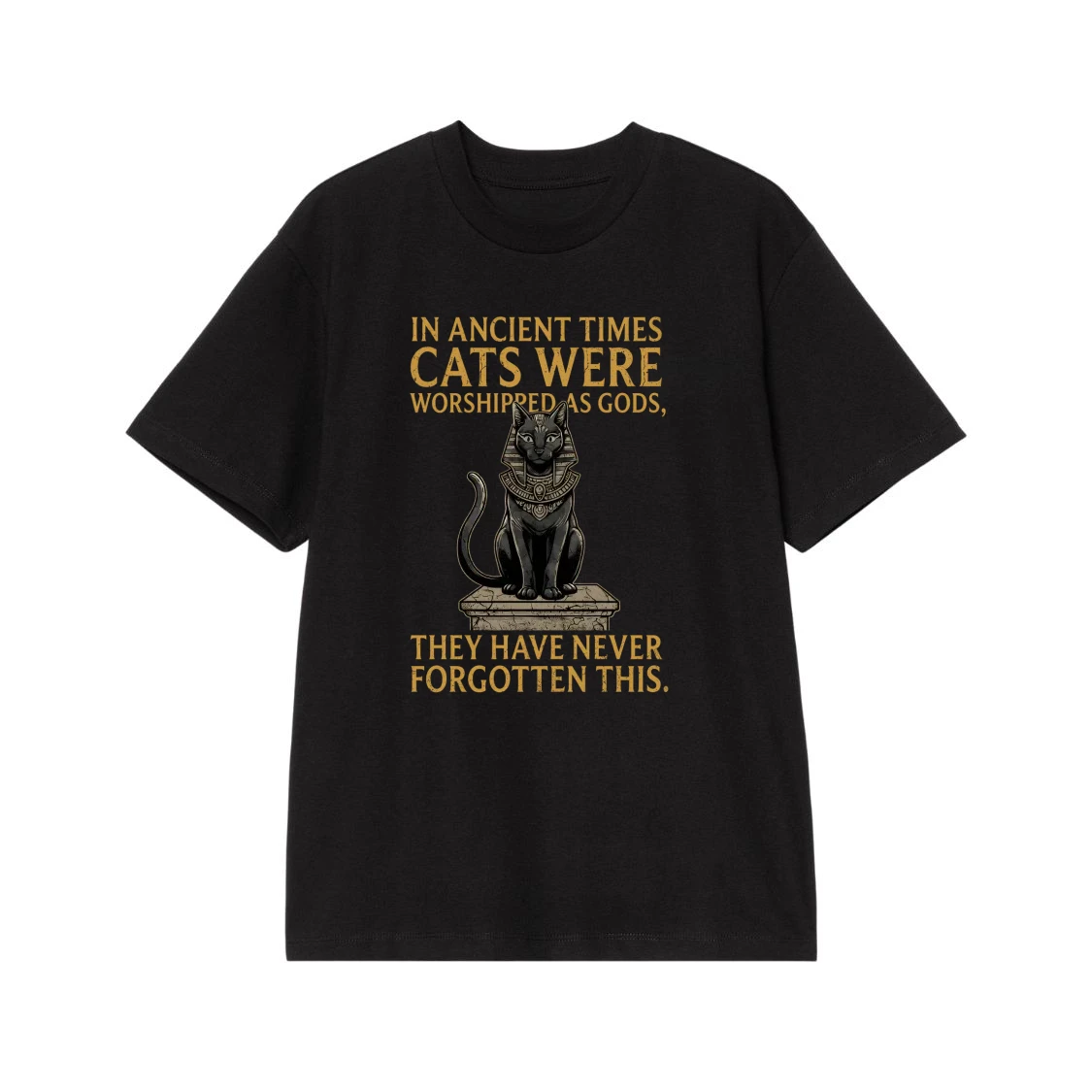 In Ancient Times Cats Were Worshipped As Gods Funny Egyptian Cat Quote