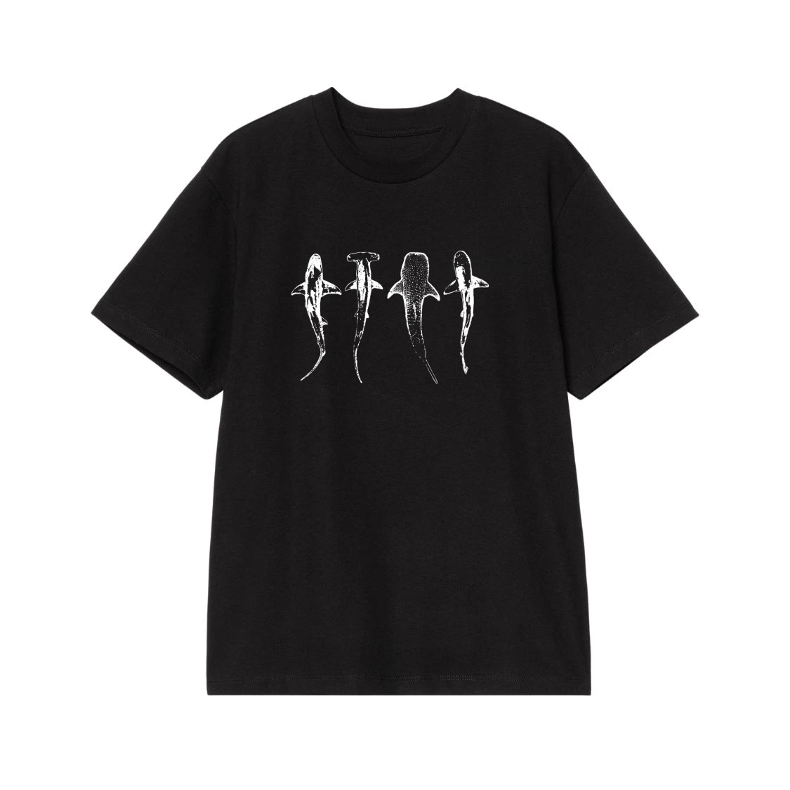 Four Shark Species Overhead View Graphic T-Shirt