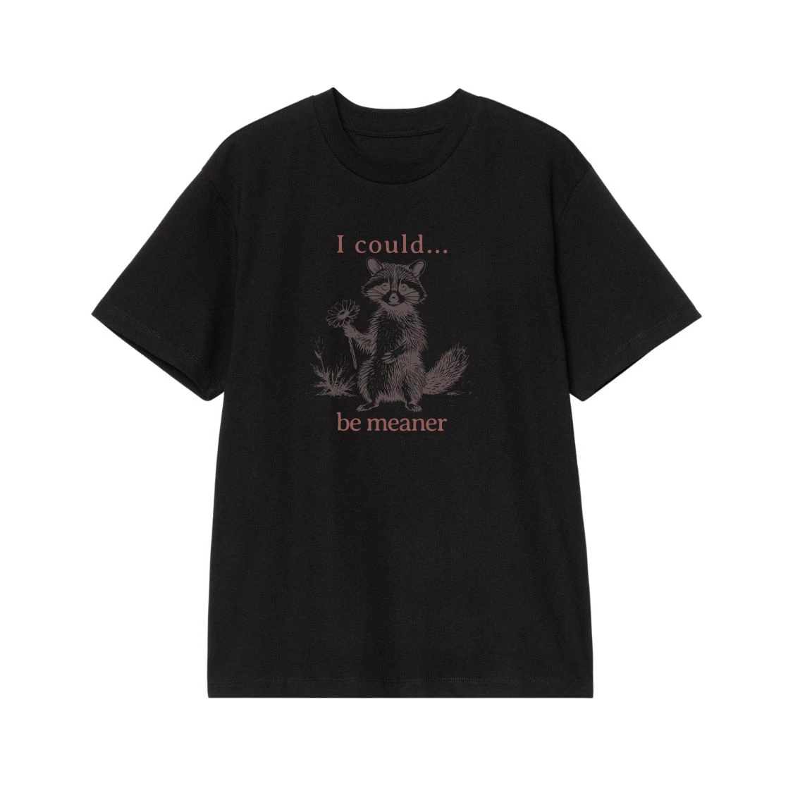 Funny Sarcastic Raccoon 'I Could Be Meaner' T-Shirt