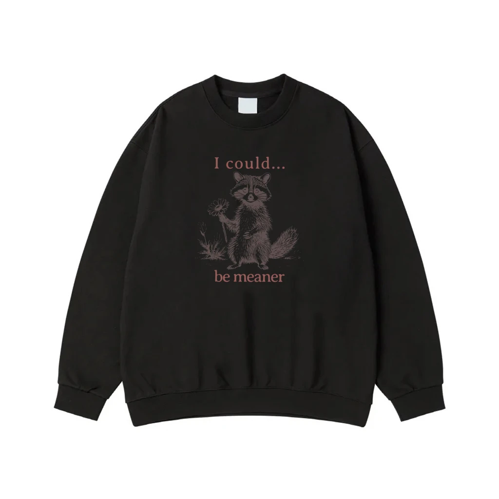 Funny Sarcastic Raccoon 'I Could Be Meaner' T-Shirt