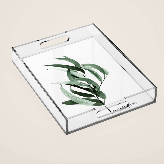Eucalyptus - Australian Gum Tree Acrylic Tray
