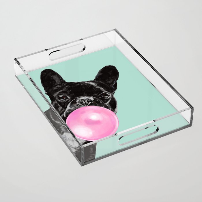 Bubble Gum Sneaky French Bulldog In Green Acrylic Tray