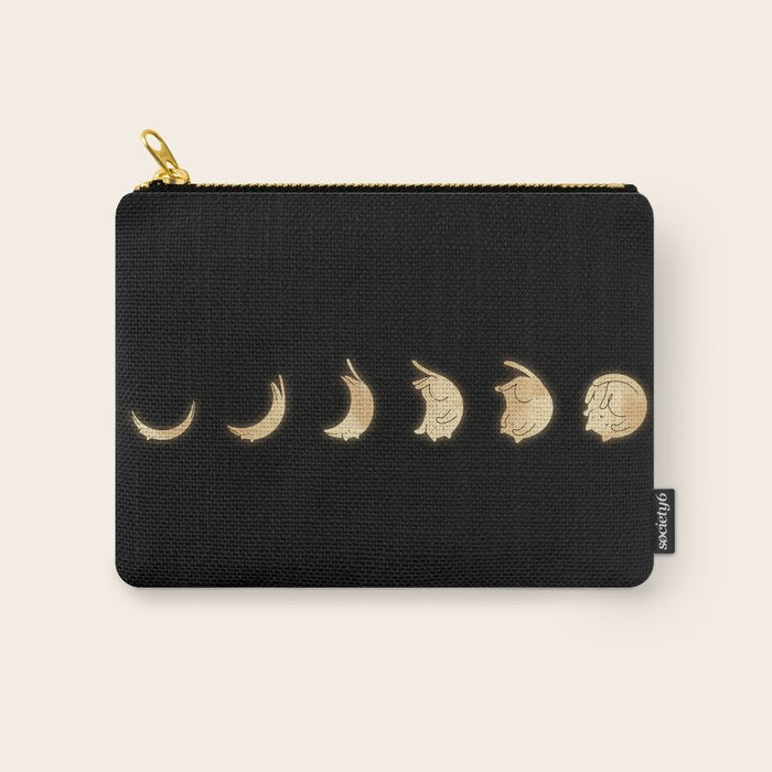 Cat Landscape 57: Phases Of The Meow Carry All Pouch