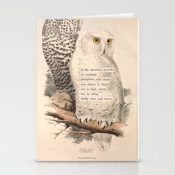 Bird Divinations: Snowy Owl (About: Almanacofbirds.Org) Stationery Card