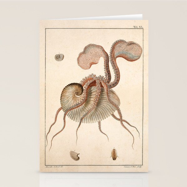 Argonauta Argo Octopus (Paper Nautilus) From An Italian Natural History Book, 1791 Stationery Card