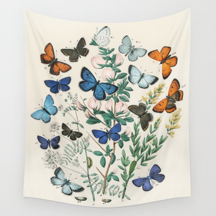 Vintage Scientific Illustration Butterfly Botanical Floral Lithograph Encyclopaedia Diagrams Wall Tapestry