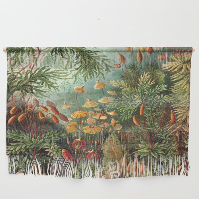 Ernst-Haeckel-Kunstformen-Der-Natur-Viintage Wall Hanging