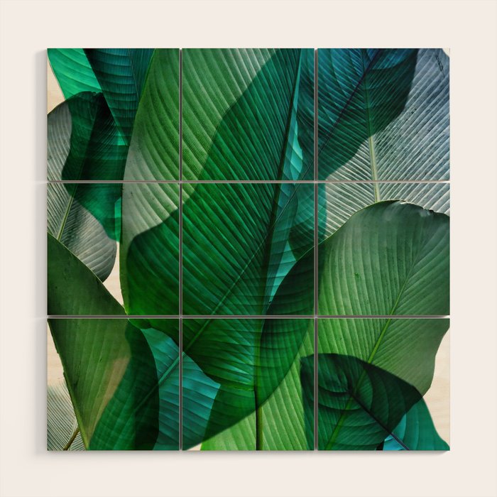 Palm Leaf Jungle Bali Banana Palm Frond Greens Wood Wall Art