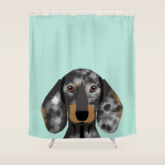 Doxie Dachshund Merle Dapple Dog Cute Must Have Dog Accessories Dog Gifts Cute Doxies Dachshunds Des Shower Curtain
