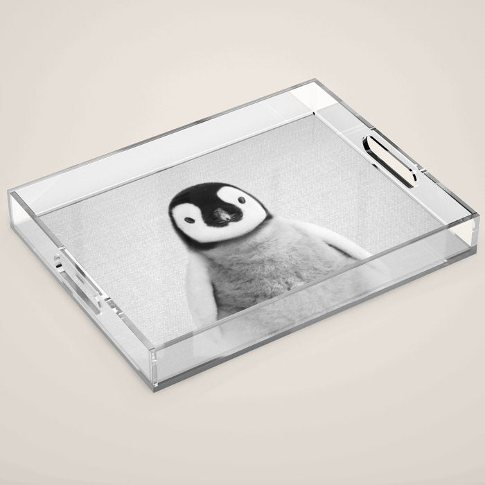 Baby Penguin - Black & White Acrylic Tray