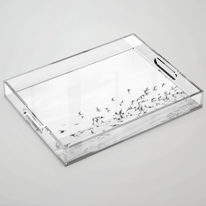 "Seagulls" | Coastal Black And White Photo | Film Photography | Beach Acrylic Tray