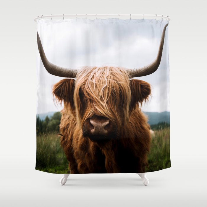 Scottish Highland Cattle Portrait Shower Curtain