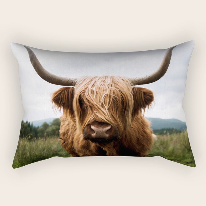 Scottish Highland Cattle Portrait Rectangular Pillow