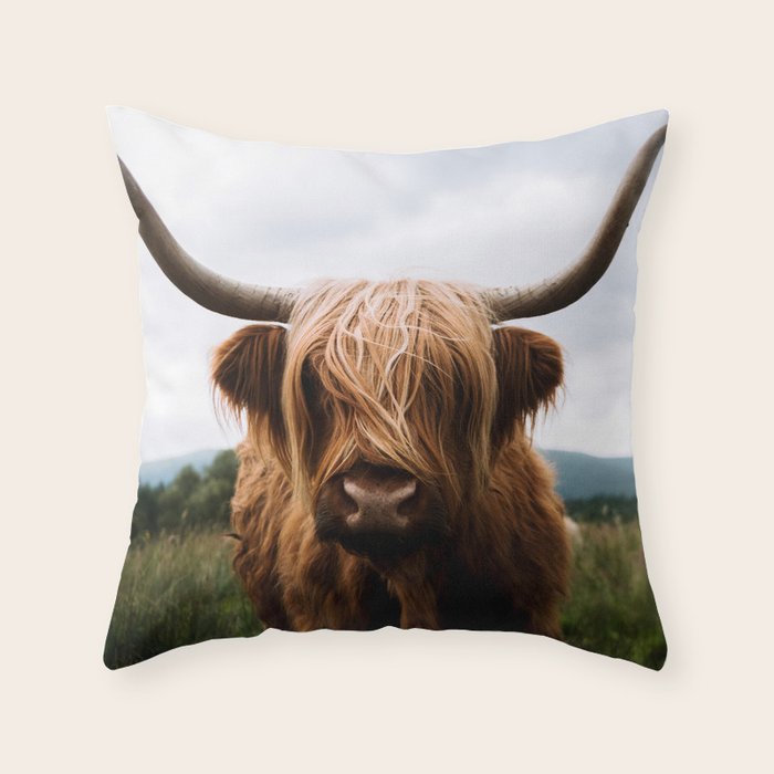 Scottish Highland Cattle Portrait Throw Pillow