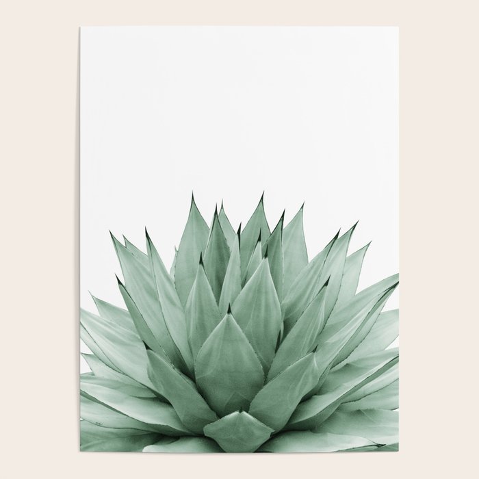 Agave Green Summer Vibes #1 #Tropical #Decor #Art #Homestorie Poster