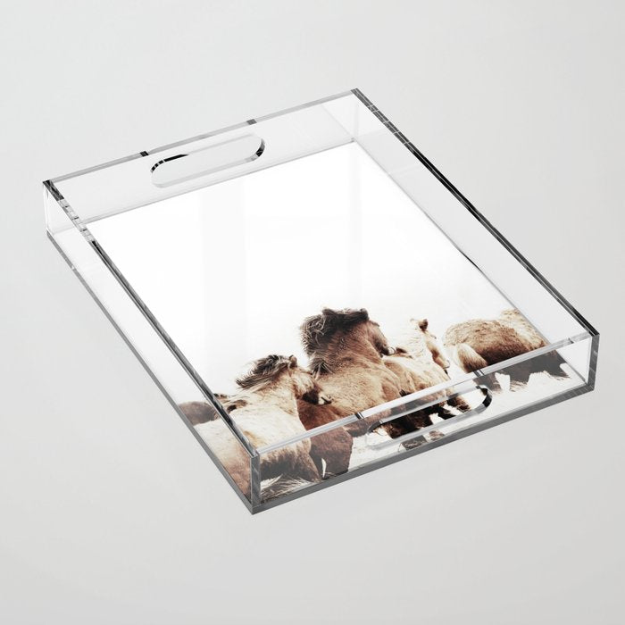 Wild And Free 2 - Horses Of Iceland Acrylic Tray
