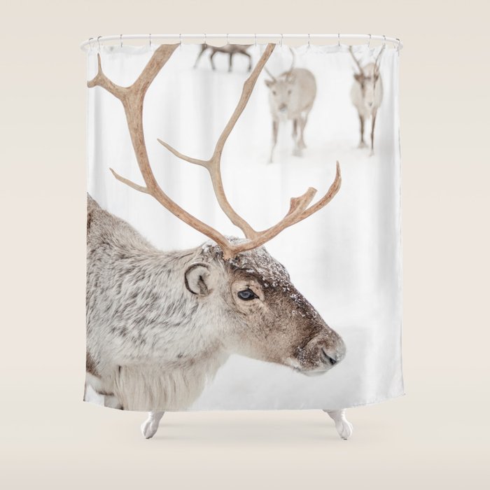 Reindeer With Antlers Art Print | Tromsø Norway Animal Snow Photo | Arctic Winter Travel Photography Shower Curtain