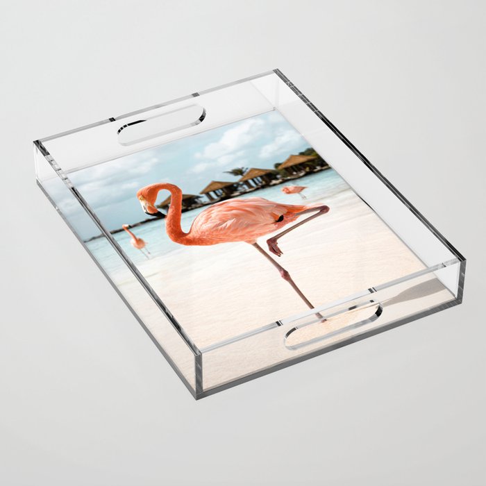 Pink Flamingo Beach Summer Photo | Aruba Tropical Island Art Print | Caribbean Travel Photography Acrylic Tray