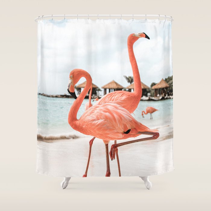 Pink Flamingos On Aruba Island Art Photo | Caribbean Beach Wall Print | Tropical Travel Photography Shower Curtain