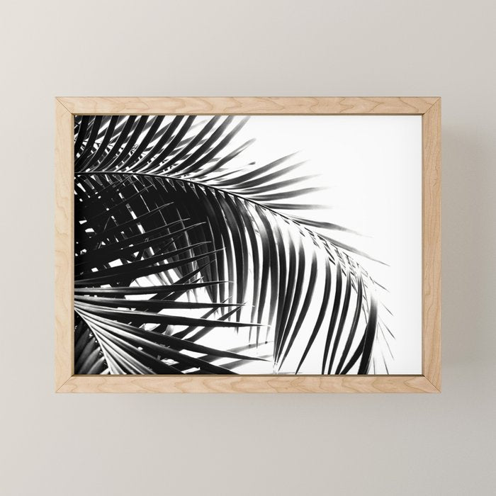 Palm Leaves Black & White Vibes #3 #Tropical #Decor #Art #Homestorie Mini Art Print