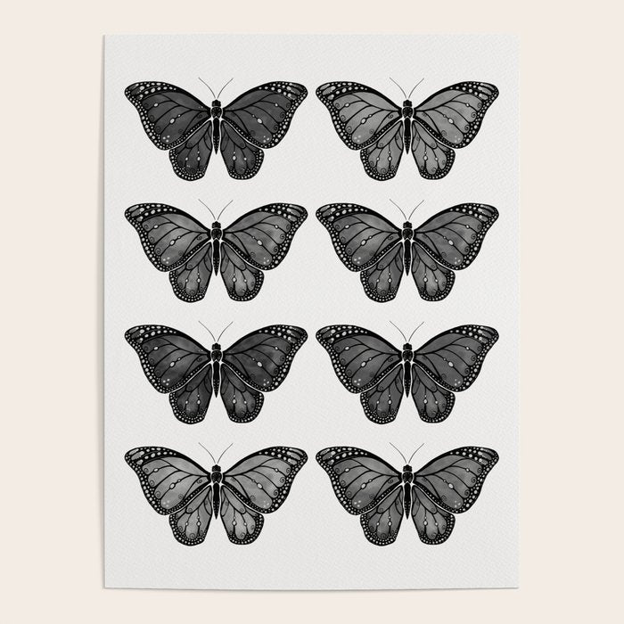Monarch Butterfly - Black And White Poster
