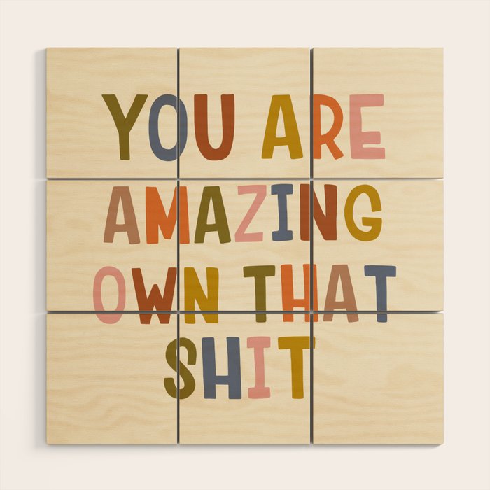 You Are Amazing Own That Shit Quote Wood Wall Art