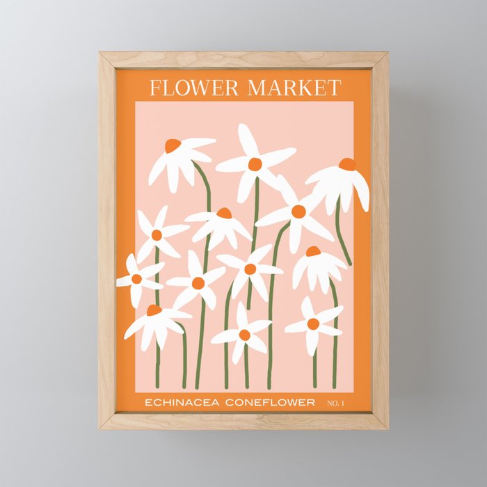 Flower Market - Echinacea #1 Mini Art Print