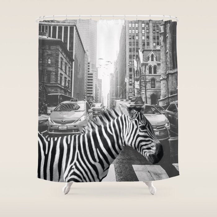 Zebra In The City - Black And White Photography Collage Shower Curtain