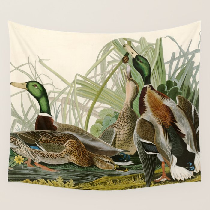 Mallard Duck - John James Audubon Birds Of America Wall Tapestry