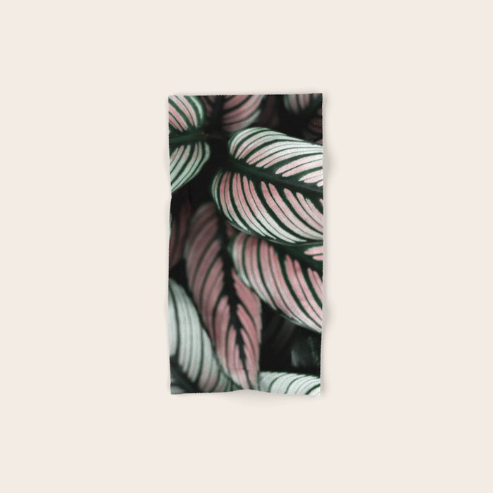 Calathea Whitestar Leaves Photography By Ingrid Beddoes  Bath Towel
