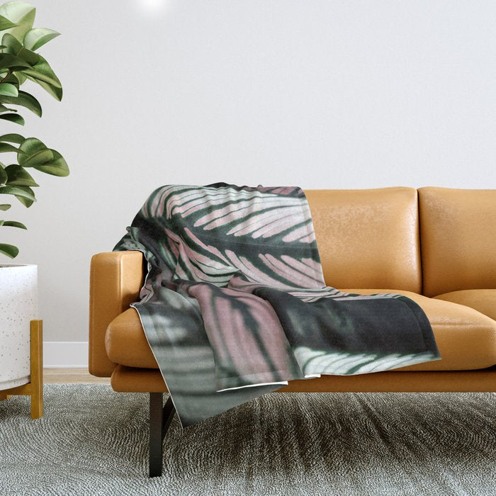 Calathea Whitestar Leaves Photography By Ingrid Beddoes  Throw Blanket