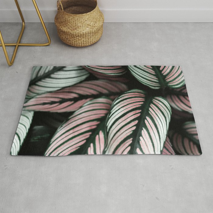 Calathea Whitestar Leaves Photography By Ingrid Beddoes  Rug