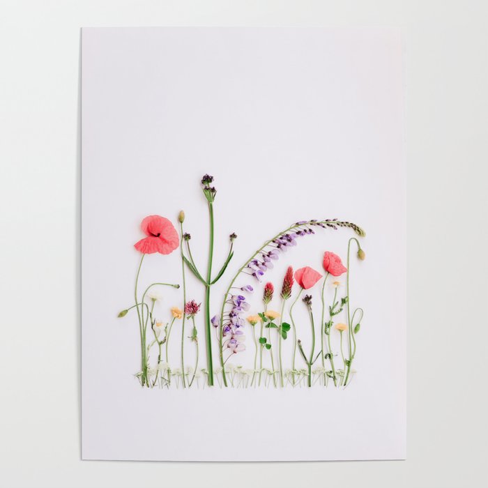 Flowers Flat Lay - Colorful Mixed Wildflowers - Poppies - Floral Poster