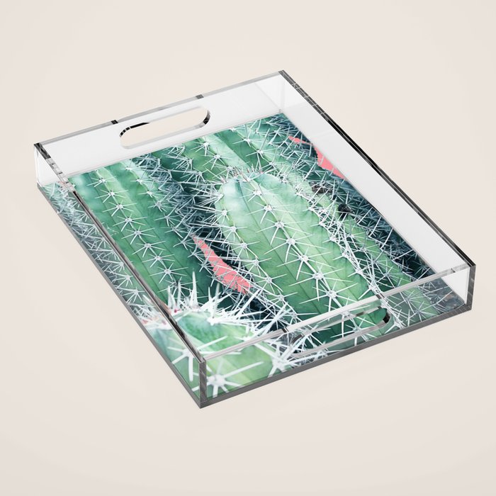 Cactus Up Close #Homestorie #Decor #Buyart Acrylic Tray