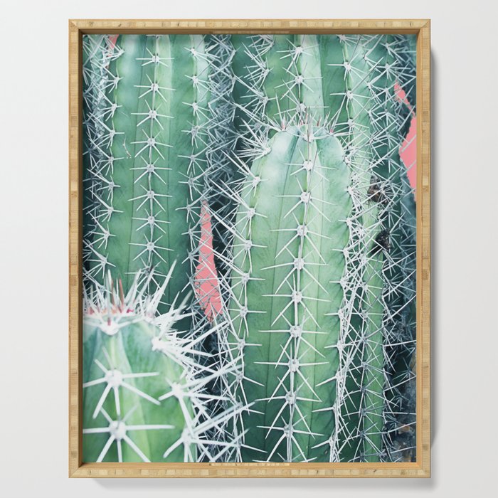 Cactus Up Close #Homestorie #Decor #Buyart Serving Tray