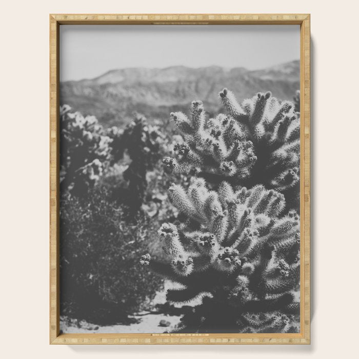 Cholla Cactus Garden (Black + White) Serving Tray