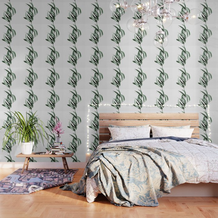 Eucalyptus - Australian Gum Tree Wallpaper