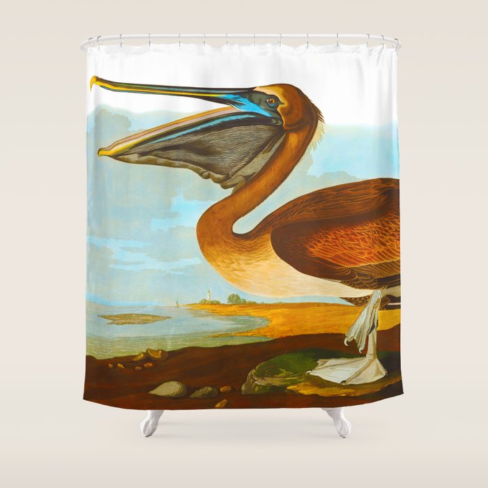 Brown Pelican Illustration Shower Curtain