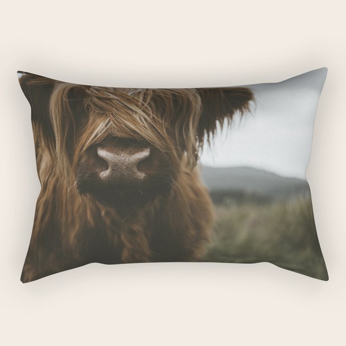 Animal Photography - Scottish Highland Cattle Rectangular Pillow