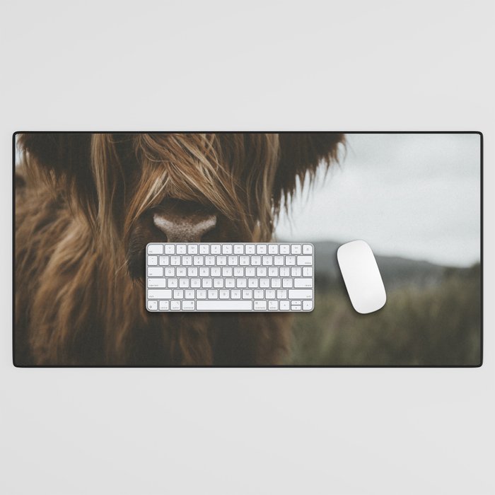 Animal Photography - Scottish Highland Cattle Desk Mat