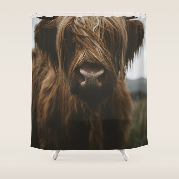 Animal Photography - Scottish Highland Cattle Shower Curtain