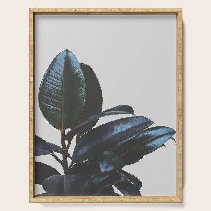 Botanical Art V4 #Homestorie #Decor #Lifestyle Serving Tray