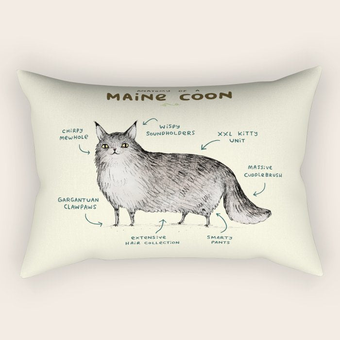 Anatomy Of A Maine Coon Rectangular Pillow