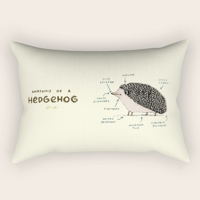 Anatomy Of A Hedgehog Rectangular Pillow