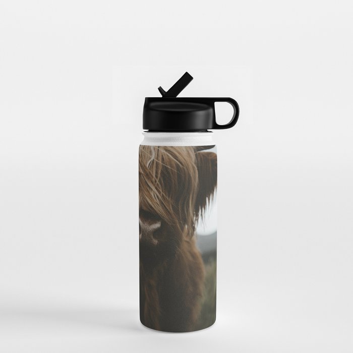 Animal Photography - Scottish Highland Cattle Water Bottle