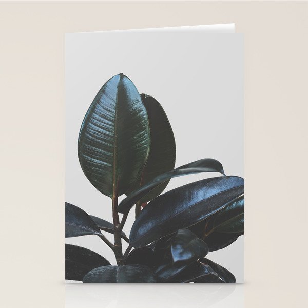 Botanical Art V4 #Homestorie #Decor #Lifestyle Stationery Card