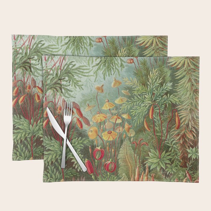 Scientific Illustration Of Moss In The Forest -  Haeckel, 1904 Placemat