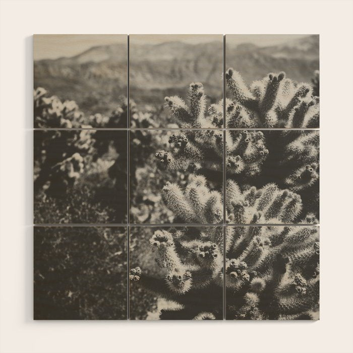 Cholla Cactus Garden (Black + White) Wood Wall Art