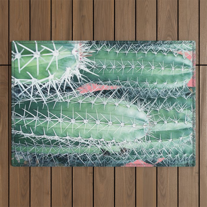 Cactus Up Close #Homestorie #Decor #Buyart Outdoor Rug