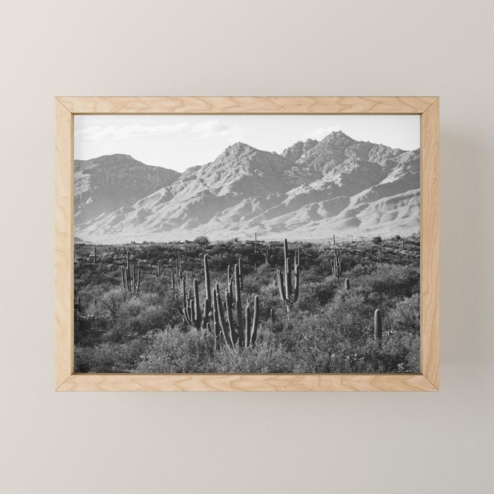 Wild West Iii - Tucson - Black & White Version Mini Art Print